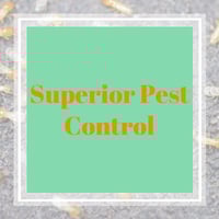 11 Best Pest Control Companies in Saint George, UT ...