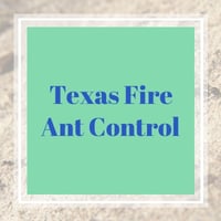 10 Best Pest Control Services in Granbury, TX | Exterminators