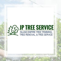 10 Best Tree Care Services In Littleton Co Tree Trimming