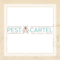17 Best Pest Control Services In Lakeland Fl Exterminators