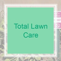 Cypress Tx Landscaping From 29 1 Landscapers Best Of 2020