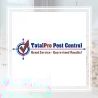 11 Best Pest Control Companies In Corpus Christi Tx Exterminators
