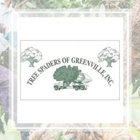 tree removal hunterdon co nj