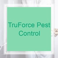 10 Best Pest Control Services In Katy Tx Exterminators