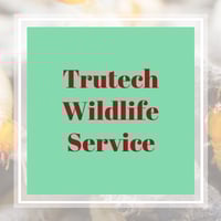 11 Best Pest Control Companies in Huntsville, AL | Exterminators