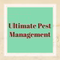 10 Best Pest Control Services in New Port Richey, FL ...