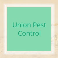 26 Best Pest Control Services in Los Angeles, CA ...