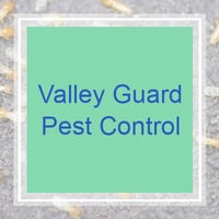 11 Best Pest Control Companies In Simi Valley Ca Exterminators