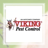 11 Best Pest Control Companies In Allentown Pa Exterminators