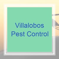 20 Best Pest Control Services in El Paso, TX | Exterminators