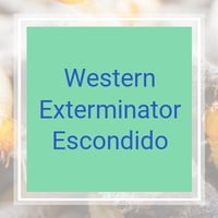 11 Best Pest Control Companies in San Marcos, CA ...