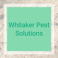 11 Best Pest Control Companies in Augusta, GA | Exterminators