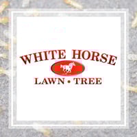 11 Best Pest Control Companies In Plymouth Ma Exterminators