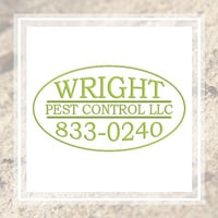 11 Best Pest Control Companies In Springfield Mo Exterminators