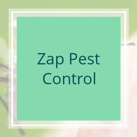 11 Best Pest Control Companies in Myrtle Beach, SC ...