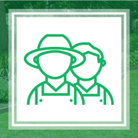 The 11 Best Pest Control Companies In Austin Tx
