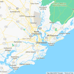 11 Best Pest Control Companies In Charleston Sc Exterminators
