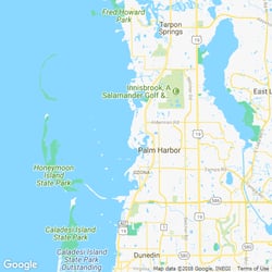 10 Best Pest Control Services In Palm Harbor Fl Exterminators