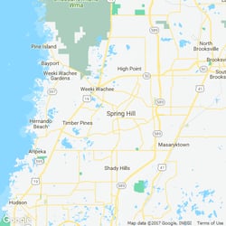 10 Best Pest Control Services In Spring Hill Fl Exterminators