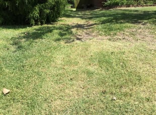1 Altoona Ia Lawn Care Service Lawn Mowing From 19 Best 2020