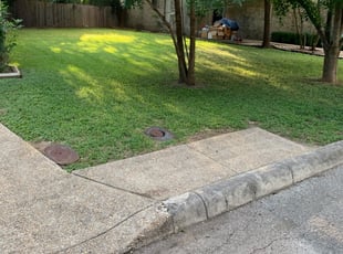 12 Best Tree Care Services In Austin Tx Trimming Removal More