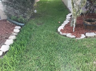 Avon Ct Lawn Care Service Lawn Mowing From 19 Rated Best 2020