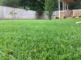 1 Bakersfield Ca Lawn Care Service Mowing From 19 Best 2020 - David Gardening Services Bakersfield Ca 1 Bakersfield Ca Lawn Care Service Mowing From 19 Best 2020 - David Gardening Services Bakersfield Ca