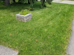 1 Bakersfield Ca Lawn Care Service Mowing From 19 Best 2020 - David Gardening Services Bakersfield Ca 1 Bakersfield Ca Lawn Care Service Mowing From 19 Best 2020 - David Gardening Services Bakersfield Ca