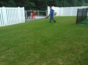 1 Barrington Ri Lawn Care Service Lawn Mowing From 19 Best 2020