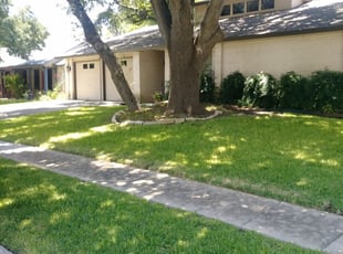 Berryville Va Lawn Care Service Lawn Mowing From 19 Rated Best 2020
