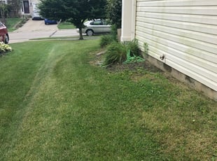 1 Bethlehem Pa Lawn Care Service Lawn Mowing From 19 Best 2020