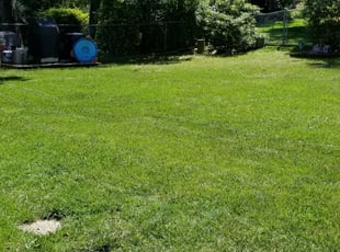 Bothell, WA Lawn Care Service | Lawn Mowing from $19 ...