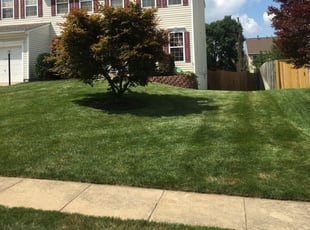 1 Bristow Va Lawn Care Service Lawn Mowing From 19 Best 2020