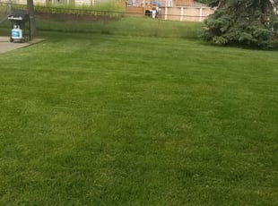 Calabasas Ca Lawn Care Service Lawn Mowing From 19 Rated Best 2020