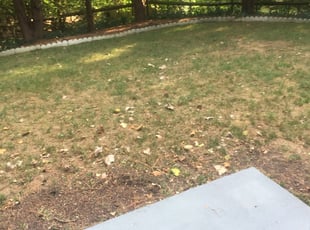 Charlotte Nc Landscaping From 29 1 Landscapers Best Of 2020
