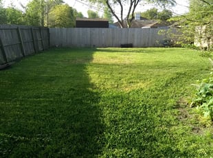 1 Cleburne Tx Lawn Care Service Lawn Mowing From 19 Best 2020