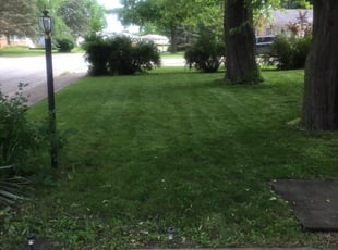 Clinton Township Mi Lawn Care Service Lawn Mowing From 19 Rated Best 2020