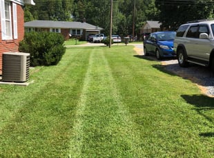 1 College Park Md Lawn Care Service Lawn Mowing From 19 Best 2020