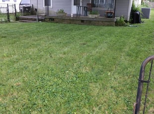 Collinsville Il Lawn Care Service Lawn Mowing From 19 Rated Best 2020