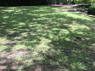 1 Colonial Heights Va Lawn Care Service Lawn Mowing From 19 Best 2020