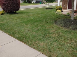 1 Columbia Md Lawn Care Service Lawn Mowing From 19 Best 2020