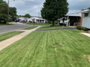 Columbus Oh Landscaping From 29 1 Landscapers Best Of 2020