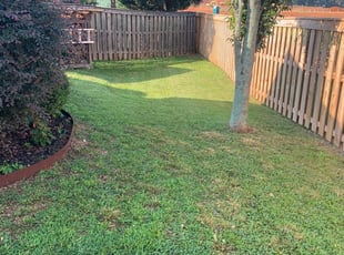 1 Conway Sc Lawn Care Service Lawn Mowing From 19 Best 2020