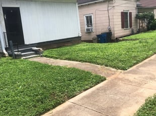 The 12 Best Pest Control Companies in Dallas, TX