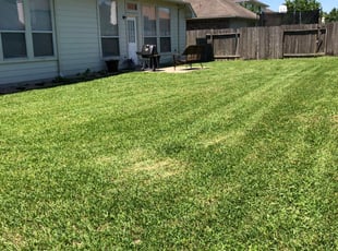 Dayton Tx Lawn Care Service Lawn Mowing From 19 Rated Best 2020