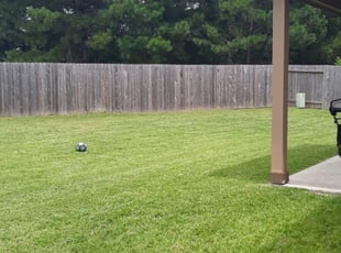 Delmar Ny Lawn Care Service Lawn Mowing From 19 Rated Best 2020