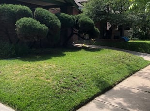 Denver Co Landscaping From 29 1 Landscapers Best Of 2020