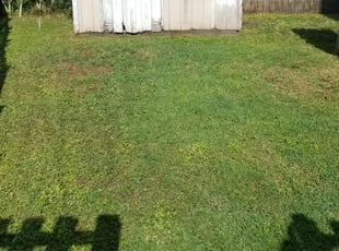 Dickinson Tx Lawn Care Service Lawn Mowing From 19 Rated Best 2020