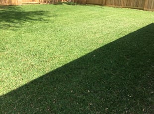 Sod Artificial Grass Installation El Paso Tx
