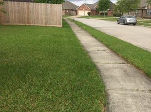 El Paso Tx Lawn Care Service Lawn Mowing From 19 Rated Best 2020